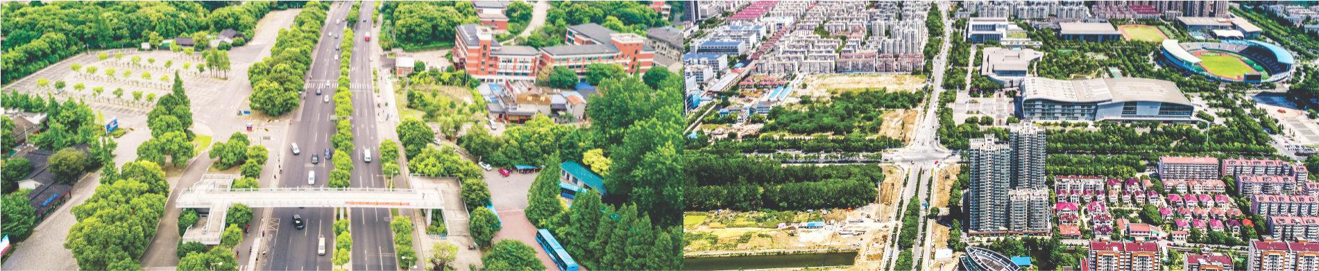 City Development Banner